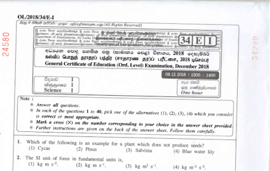 2018 G.C.E O/L Science Paper I & II (English Medium) thumbnail