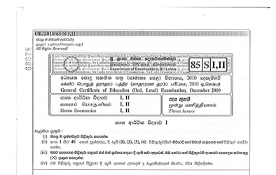2010 G.C.E O/L Home Economics Paper I & II (Sinhala Medium)