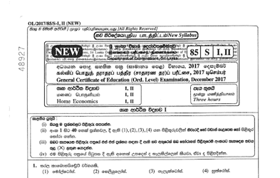 2017 G.C.E O/L Home Economics Paper I & II (Sinhala Medium) thumbnail