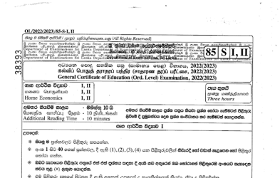 2022 G.C.E O/L Home Economics Paper I & II (Sinhala Medium)