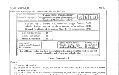 2020 G.C.E O/L Home Economics Paper I & II (English Medium) thumbnail