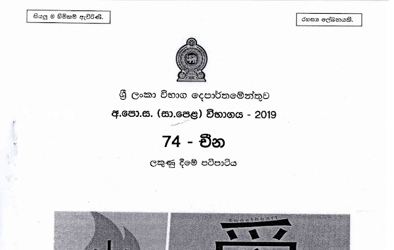 2019 G.C.E O/L Chinese Full Marking Scheme (Sinhala Medium)