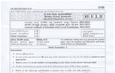 2021 G.C.E O/L Home Economics Paper I & II (English Medium) thumbnail