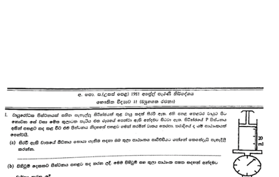 1981 A/L Physics Paper II (Essay) (Sinhala Medium)