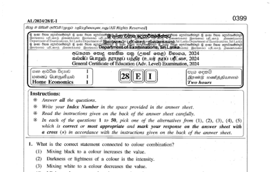 2024 A/L Home Economics Past Paper (English Medium)