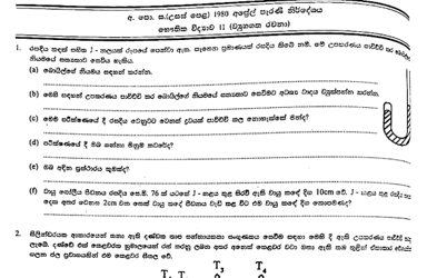 1980 A/L Physics Paper II (Essay) (Sinhala Medium)