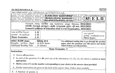 2022 G.C.E O/L Home Economics Paper I & II (English Medium) thumbnail